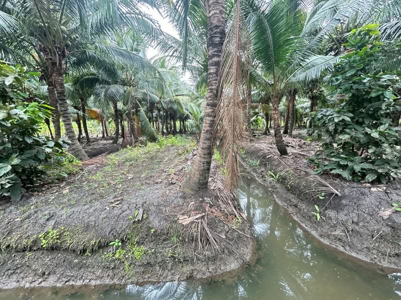 For Sale - ที่ดินปากท่อ ราชบุรี, Ratchaburi