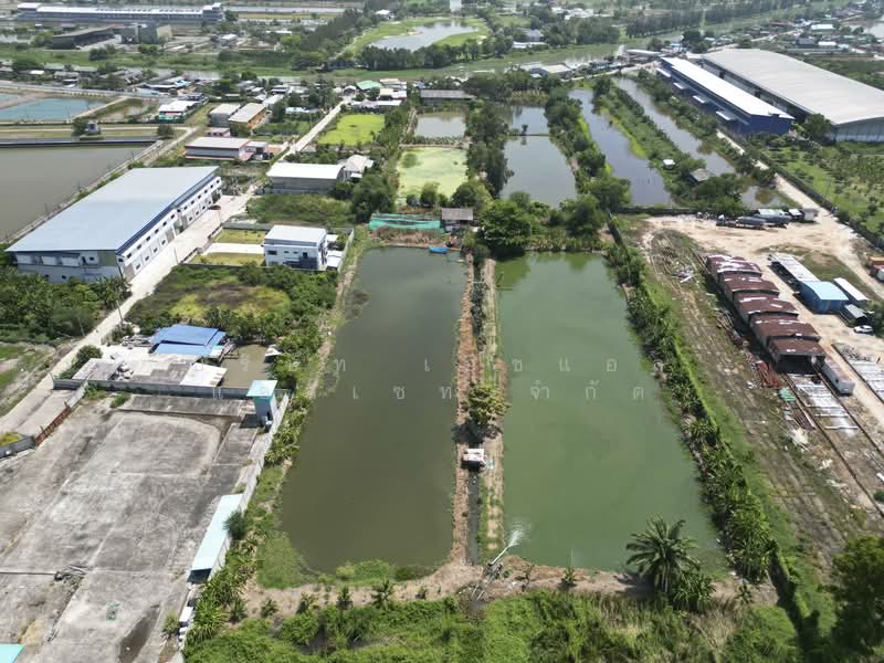 ที่ดินสวย แปลงใหญ่ 22-3-4 ไร่ บางบ่อ สมุทรปราการ ทำเลทอง, สมุทรปราการ, เปร็ง, บางบ่อ, สมุทรปราการ, 36,416 ตร.ม., ที่ดิน ขาย, โดย บริษัท เอชแอล แอสเซท จำกัด, 500184031 - DDproperty.com