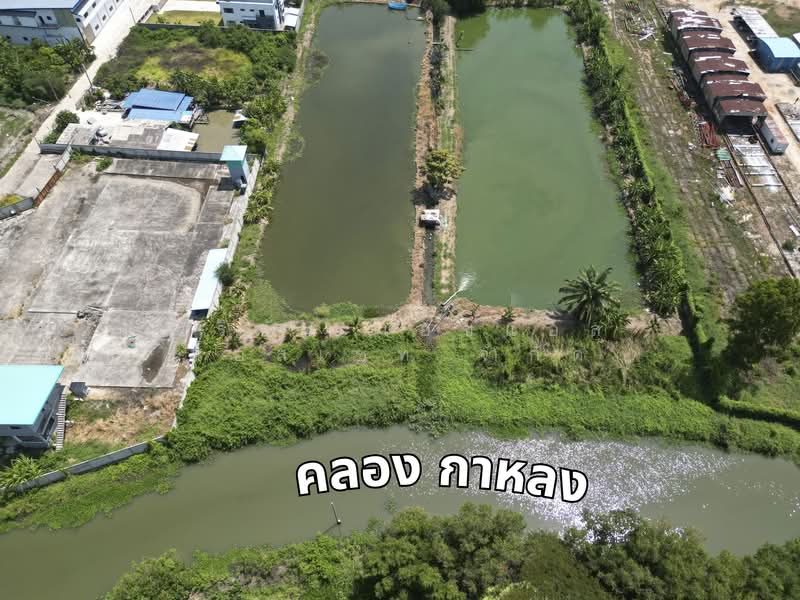 Land in Bang Bo Samut Prakan., Samut Prakan, Preng, Bang Bo, Samut Prakan, , 36,416 sqm, Land For Sale, by บริษัท เอชแอล แอสเซท จำกัด, 500184031 - DDproperty.com