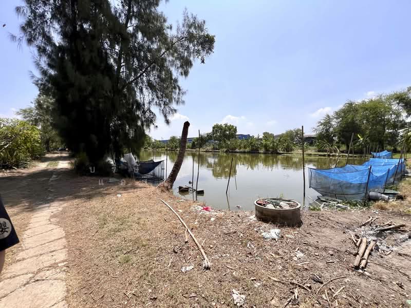 Land in Bang Bo Samut Prakan., Samut Prakan, Preng, Bang Bo, Samut Prakan, , 36,416 sqm, Land For Sale, by บริษัท เอชแอล แอสเซท จำกัด, 500184031 - DDproperty.com