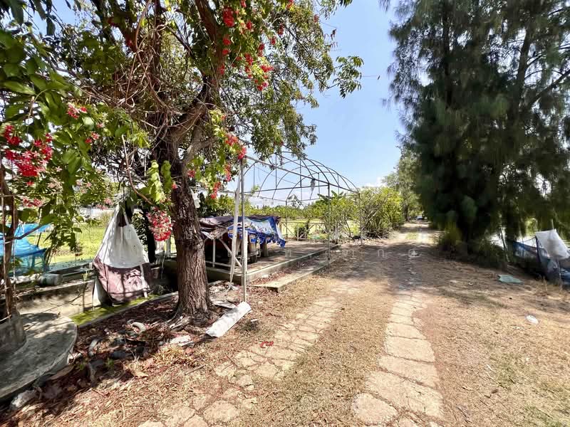 Land in Bang Bo Samut Prakan., Samut Prakan, Preng, Bang Bo, Samut Prakan, , 36,416 sqm, Land For Sale, by บริษัท เอชแอล แอสเซท จำกัด, 500184031 - DDproperty.com