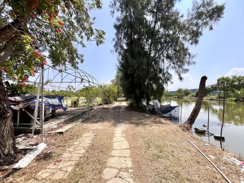 Land in Bang Bo Samut Prakan., Samut Prakan, Preng, Bang Bo, Samut Prakan, , 36,416 sqm, Land For Sale, by บริษัท เอชแอล แอสเซท จำกัด, 500184031 - DDproperty.com