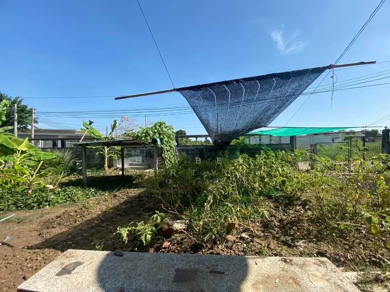 บ้านเดี่ยวพร้อมที่ดินพระโขนง กรุงเทพมหานคร, Bangkok, Bang Chak, Phra Khanong, Bangkok, 2 Bedrooms, 120 sqm, Single Detached House For Sale, by The Best Property ชล, 500184093 - DDproperty.com