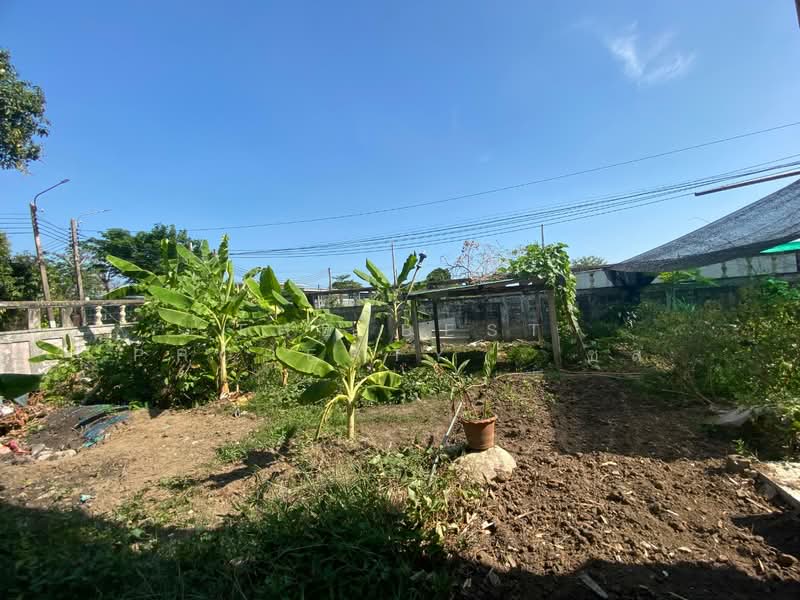 บ้านเดี่ยวพร้อมที่ดินพระโขนง กรุงเทพมหานคร, Bangkok, Bang Chak, Phra Khanong, Bangkok, 2 Bedrooms, 120 sqm, Single Detached House For Sale, by The Best Property ชล, 500184093 - DDproperty.com