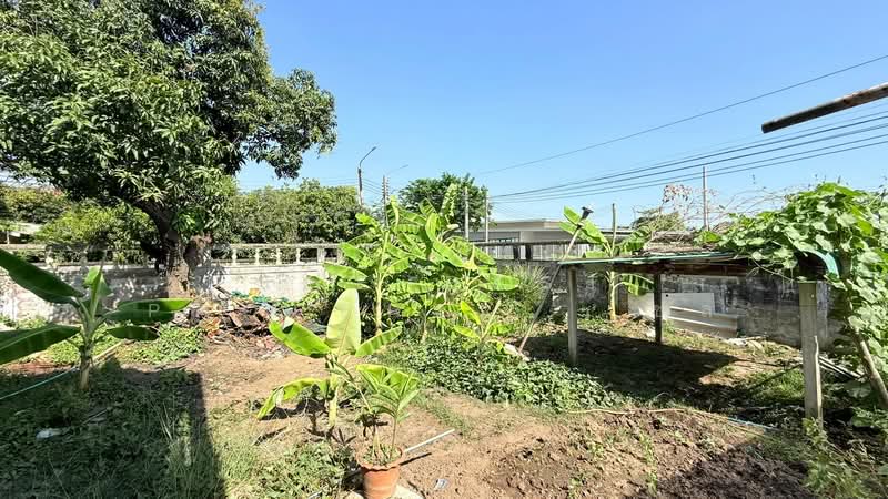 บ้านเดี่ยวพร้อมที่ดินพระโขนง กรุงเทพมหานคร, กรุงเทพ, บางจาก, พระโขนง, กรุงเทพ, 120 ตร.ม., บ้านเดี่ยว ขาย, โดย The Best Property   ชล, 500184093 - DDproperty.com