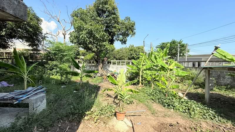 บ้านเดี่ยวพร้อมที่ดินพระโขนง กรุงเทพมหานคร, Bangkok, Bang Chak, Phra Khanong, Bangkok, 2 Bedrooms, 120 sqm, Single Detached House For Sale, by The Best Property ชล, 500184093 - DDproperty.com