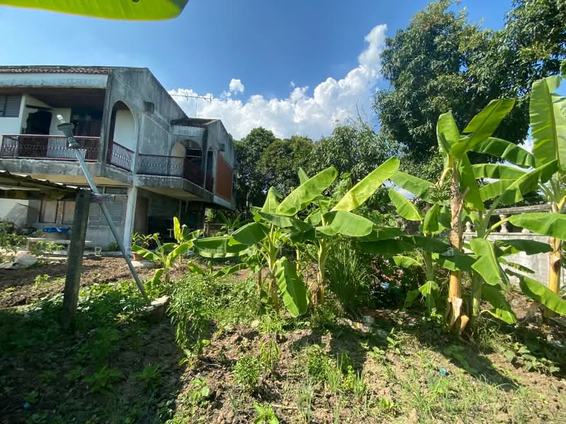 บ้านเดี่ยวพร้อมที่ดินพระโขนง กรุงเทพมหานคร, Bangkok, Bang Chak, Phra Khanong, Bangkok, 2 Bedrooms, 120 sqm, Single Detached House For Sale, by The Best Property ชล, 500184093 - DDproperty.com