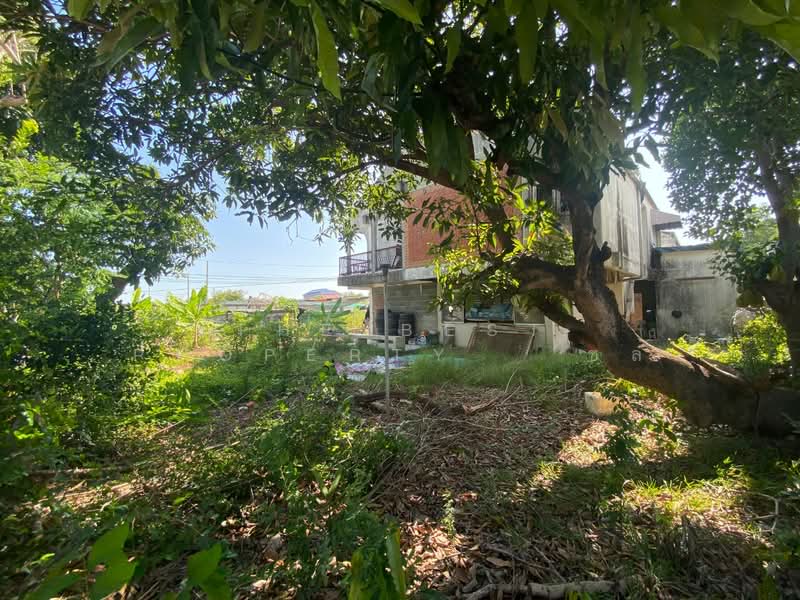 บ้านเดี่ยวพร้อมที่ดินพระโขนง กรุงเทพมหานคร, Bangkok, Bang Chak, Phra Khanong, Bangkok, 2 Bedrooms, 120 sqm, Single Detached House For Sale, by The Best Property ชล, 500184093 - DDproperty.com