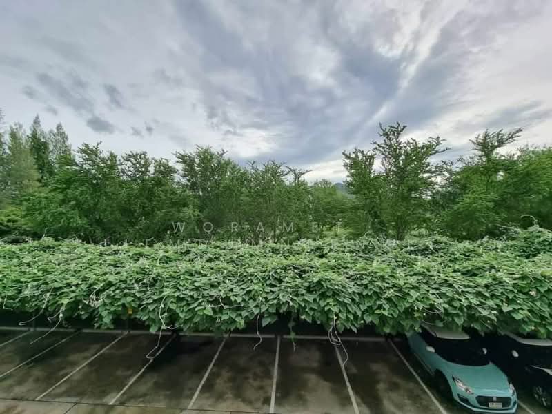 Autumn Hua Hin, Prachuap Khiri Khan, Nong Kae, Nong Kae, Hua Hin, Prachuap Khiri Khan, 1 Bedroom, 40 sqm, Condo For Sale, by Woramet  Jiemdumnernkit, 500184126 - DDproperty.com