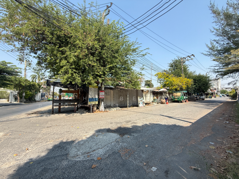 ที่ดินบางขุนเทียน กรุงเทพมหานคร, กรุงเทพ, แสมดำ, บางขุนเทียน, กรุงเทพ, 100 ตร.ม., ที่ดิน ขาย, โดย The Best Property ดาด้า, 500184246 - DDproperty.com