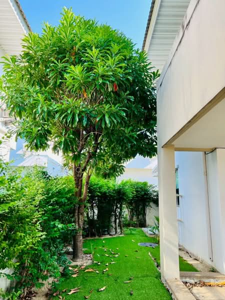 Perfect Place Sukhumvit 77-Suvarnabhumi : เพอร์เฟค เพลส สุขุมวิท77-สุวรรณภูมิ, สมุทรปราการ, ถนนลาดกระบัง, ราชาเทวะ, บางพลี, สมุทรปราการ, 175 ตร.ม., บ้านเดี่ยว ขาย, โดย Tanapat Sakonsontised, 500184294 - DDproperty.com