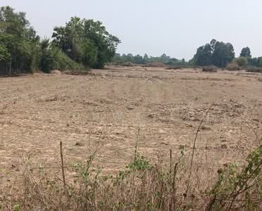 ขาย - ขายที่ดินสระสี่เหลี่ยม 10 ไร่ ติดถนนคอนกรีต ใกล้ถนนเส้น331-3กม. อ.พนัสนิคม, ชลบุรี