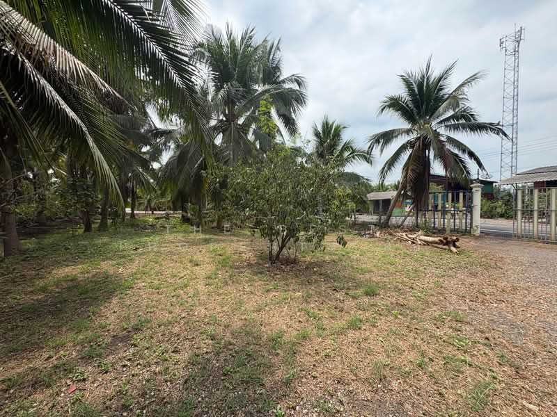 บ้านเดี่ยวพร้อมที่ดินอัมพวา สมุทรสงคราม, Samut Songkhram, Tha Kha, Amphawa, Samut Songkhram, 2 Bedrooms, 150 sqm, Single Detached House For Sale, by The Best Property อ้อ, 500184416 - DDproperty.com