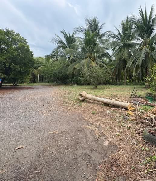 บ้านเดี่ยวพร้อมที่ดินอัมพวา สมุทรสงคราม, สมุทรสงคราม, ท่าคา, อัมพวา, สมุทรสงคราม, 150 ตร.ม., บ้านเดี่ยว ขาย, โดย The Best Property อ้อ, 500184416 - DDproperty.com