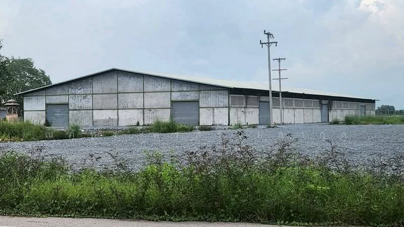 ขาย/ให้เช่าโกดังอัมพวา สมุทรสงคราม โกดัง 4,080 ตรม ที่ดินปล่อยขาย 131 ไร่ (TW8-07126), สมุทรสงคราม, ยี่สาร, อัมพวา, สมุทรสงคราม, 4,080 ตร.ม., โกดัง-โรงงาน ให้เช่า, โดย ณภัทร พรสิริเมธากุล, 500184480 - DDproperty.com