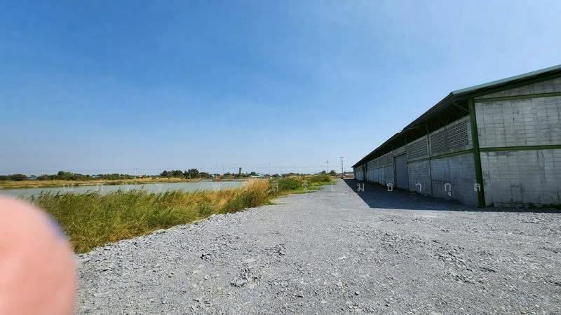 ขาย/ให้เช่าโกดังอัมพวา สมุทรสงคราม โกดัง 4,080 ตรม ที่ดินปล่อยขาย 131 ไร่ (TW8-07126), Samut Songkhram, Yi San, Amphawa, Samut Songkhram, , 4,080 sqm, Warehouse/Factory For Rent, by ณภัทร พรสิริเมธากุล, 500184480 - DDproperty.com