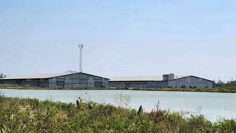 อัมพวา, Samut Songkhram, Yi San, Amphawa, Samut Songkhram, , 4,080 sqm, Warehouse/Factory For Rent, by ณภัทร พรสิริเมธากุล, 500184480 - DDproperty.com