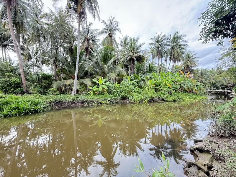 For Sale - ที่ดินบางคนที สมุทรสงคราม, Samut Songkhram