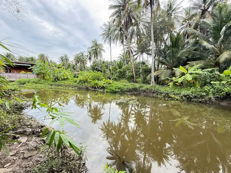 For Sale - ที่ดินบางคนที สมุทรสงคราม, Samut Songkhram