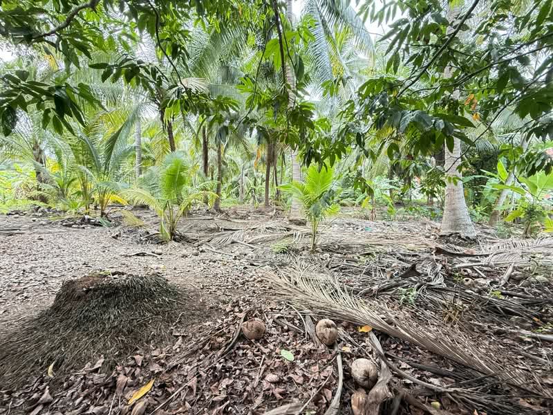 For Sale - ที่ดินบางคนที สมุทรสงคราม, Samut Songkhram