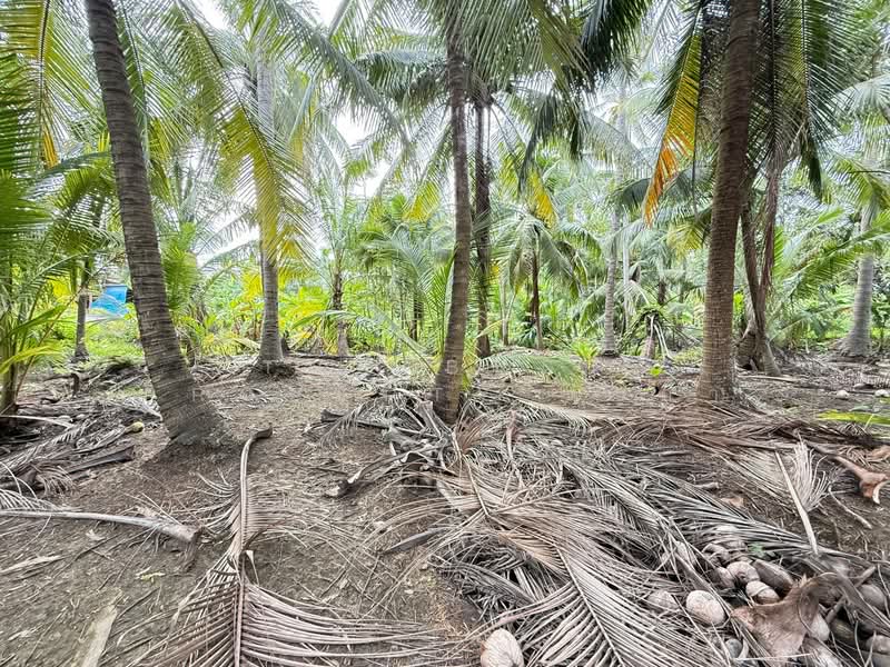 For Sale - ที่ดินบางคนที สมุทรสงคราม, Samut Songkhram