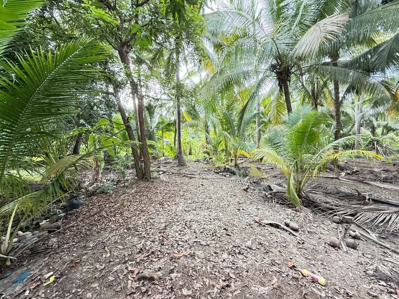 For Sale - ที่ดินบางคนที สมุทรสงคราม, Samut Songkhram