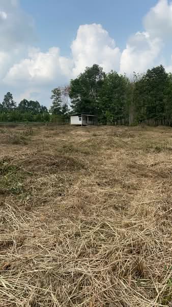 ที่ดินพร้อมสิ่งปลูกสร้างมะขาม จันทบุรี, Chanthaburi, Makham, Makham, Chanthaburi, , 5,788 sqm, Land For Sale, by The Best Property หยก, 500184539 - DDproperty.com