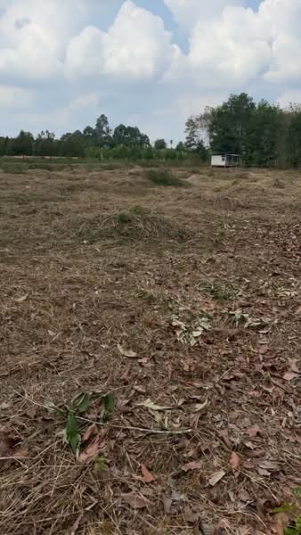 ที่ดินพร้อมสิ่งปลูกสร้างมะขาม จันทบุรี, Chanthaburi, Makham, Makham, Chanthaburi, , 5,788 sqm, Land For Sale, by The Best Property หยก, 500184539 - DDproperty.com