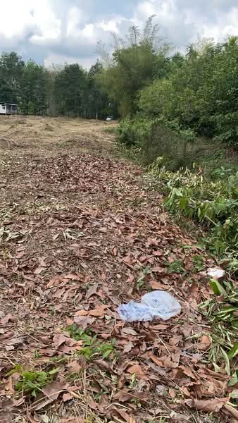 ที่ดินพร้อมสิ่งปลูกสร้างมะขาม จันทบุรี, Chanthaburi, Makham, Makham, Chanthaburi, , 5,788 sqm, Land For Sale, by The Best Property หยก, 500184539 - DDproperty.com