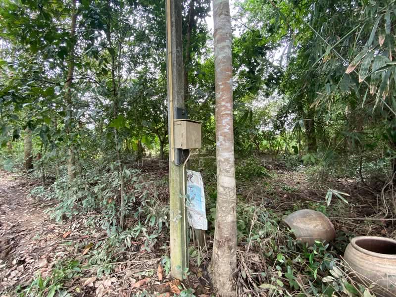 ที่ดินพร้อมสิ่งปลูกสร้างมะขาม จันทบุรี, Chanthaburi, Makham, Makham, Chanthaburi, , 5,788 sqm, Land For Sale, by The Best Property หยก, 500184539 - DDproperty.com