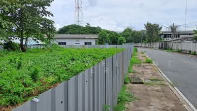 ขาย - ขายที่ดินเสม็ด 100 ตรว. ซอยนารถมนตเสวี4/8 หลังตลาดไฟฟ้า, ชลบุรี