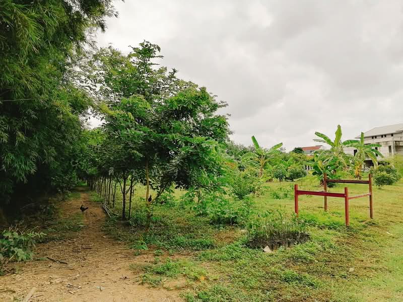 Land For Sale in Chang Phueak, Chiang Mai, Chiang Mai, โชตนา ซอย12, Chang Phuak, Muang Chiang Mai, Chiang Mai, , 23,656 sqm, Land For Sale, by ศิวพร วันทา, 500184565 - DDproperty.com