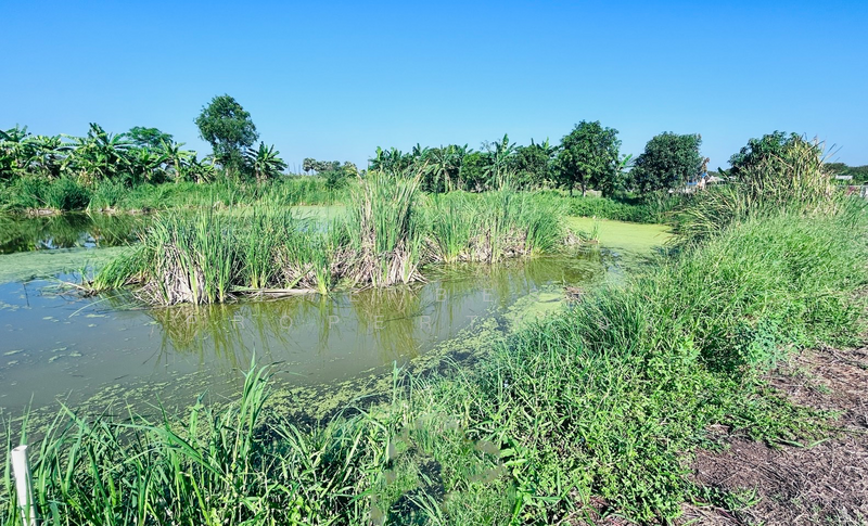 ที่ดินมีนบุรี กรุงเทพมหานคร, Bangkok, Min Buri, Min Buri, Bangkok, , 1,440 sqm, Land For Sale, by The Best Property อร, 500184572 - DDproperty.com