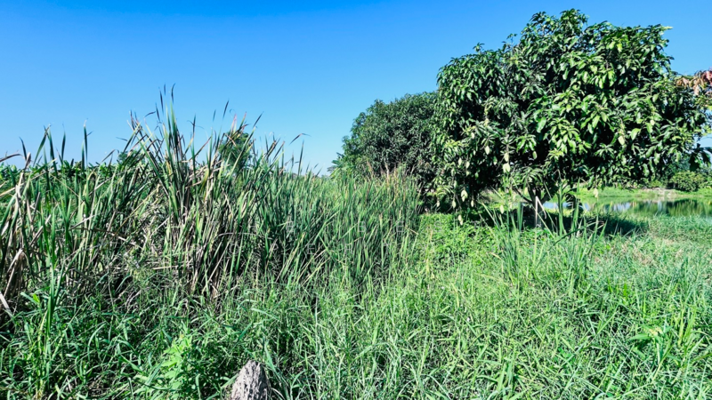 ที่ดินมีนบุรี กรุงเทพมหานคร, Bangkok, Min Buri, Min Buri, Bangkok, , 1,440 sqm, Land For Sale, by The Best Property อร, 500184572 - DDproperty.com