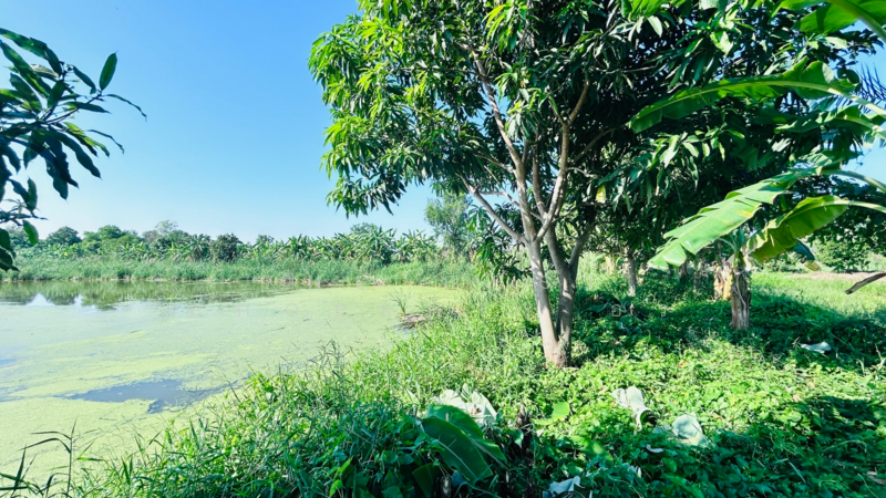 ที่ดินมีนบุรี กรุงเทพมหานคร, Bangkok, Min Buri, Min Buri, Bangkok, , 1,440 sqm, Land For Sale, by The Best Property อร, 500184572 - DDproperty.com