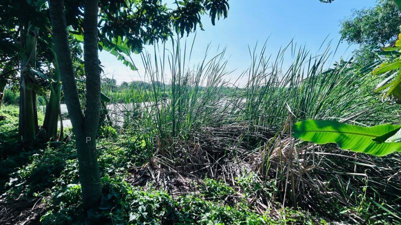 ที่ดินมีนบุรี กรุงเทพมหานคร, Bangkok, Min Buri, Min Buri, Bangkok, , 1,440 sqm, Land For Sale, by The Best Property อร, 500184572 - DDproperty.com