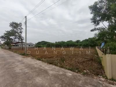 ขาย - ที่ดินเปล่า เหมืองง่าลำพูน 230 ตารางวา, ลำพูน