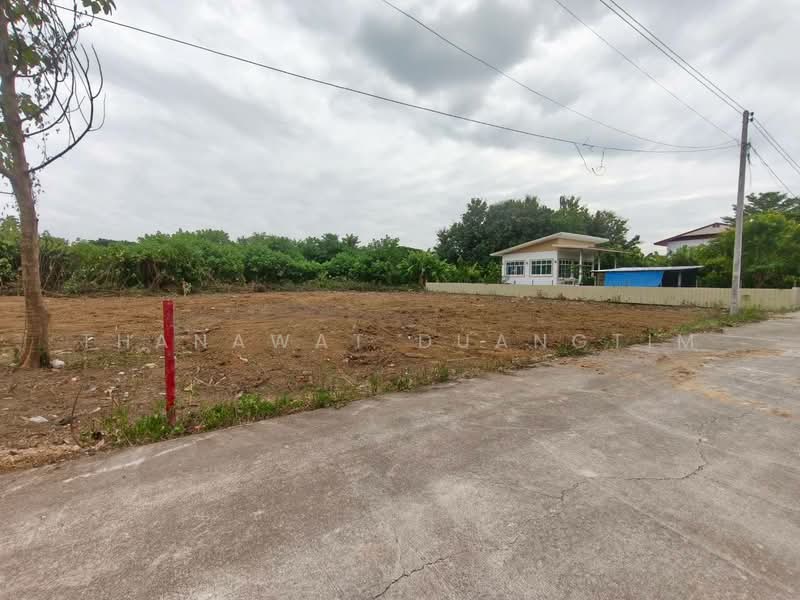 ขาย - ที่ดินเปล่า เหมืองง่าลำพูน 230 ตารางวา, ลำพูน