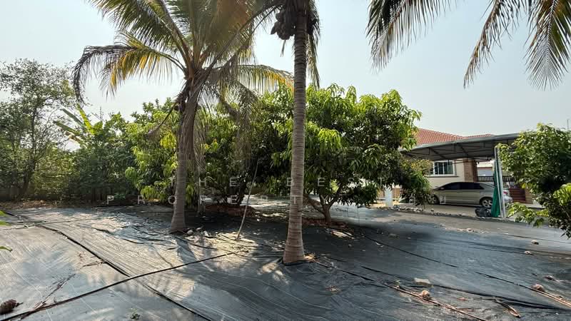 บ้านเดี่ยวบ้านโฮ่ง ลำพูน, Lamphun, Ban Hong, Ban Hong, Lamphun, 2 Bedrooms, 115 sqm, Single Detached House For Sale, by The Best Property บอย, 500184827 - DDproperty.com