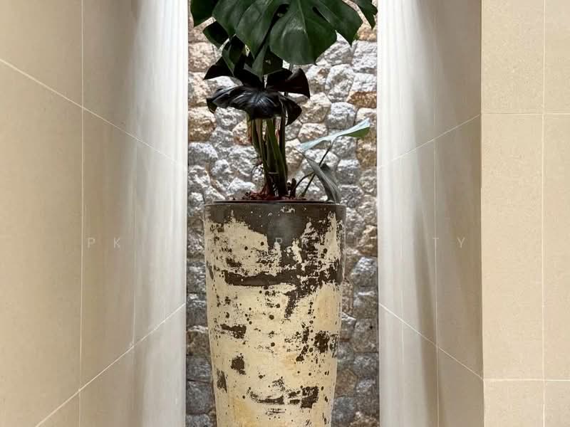 12S0176 Pool villa for sale 9,900,000 baht 3 bedroom 4 bathroom at thalang have fully furnished, ภูเก็ต, เทพกระษัตรี, ถลาง, ภูเก็ต, 220 ตร.ม., วิลล่า ขาย, โดย PK LIFE Property, 500184935 - DDproperty.com