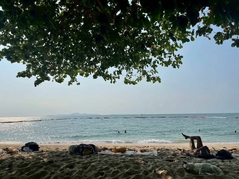 Zire Wongamat, Chon Buri (Pattaya), 456 Soi Naklua 18, Na Kloe, Bang Lamung (Pattaya), Chon Buri (Pattaya), 2 Bedrooms, 99 sqm, Condo For Sale, by Kritaphak Khongmueang, 500185021 - DDproperty.com