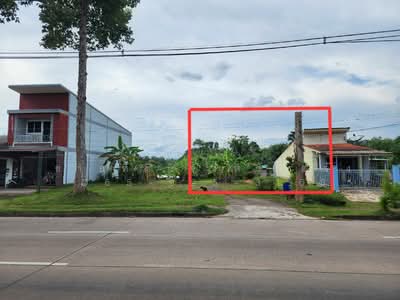 ขาย - ที่ดินอำเภอนาโยง จังหวัดตรัง, ตรัง