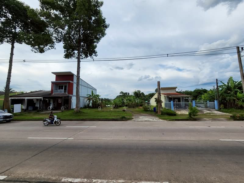 ขาย - ที่ดินอำเภอนาโยง จังหวัดตรัง, ตรัง