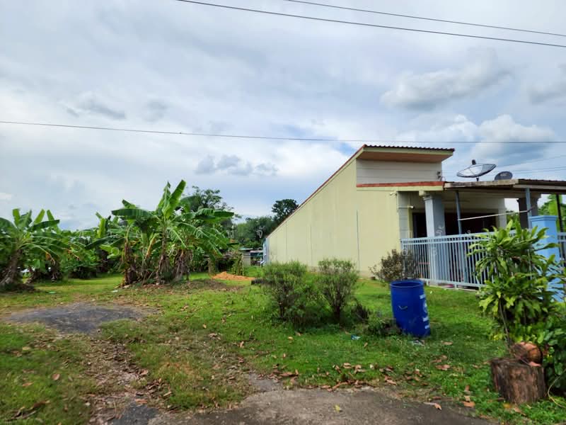 For Sale - ที่ดินอำเภอนาโยง จังหวัดตรัง, Trang