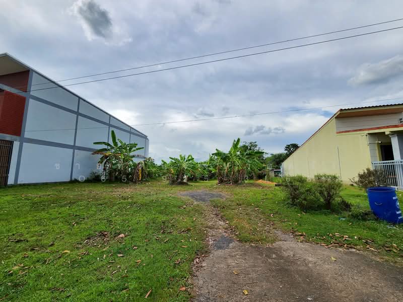 For Sale - ที่ดินอำเภอนาโยง จังหวัดตรัง, Trang