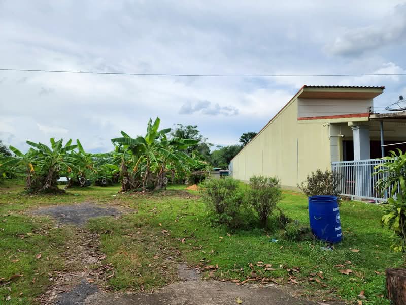 For Sale - ที่ดินอำเภอนาโยง จังหวัดตรัง, Trang