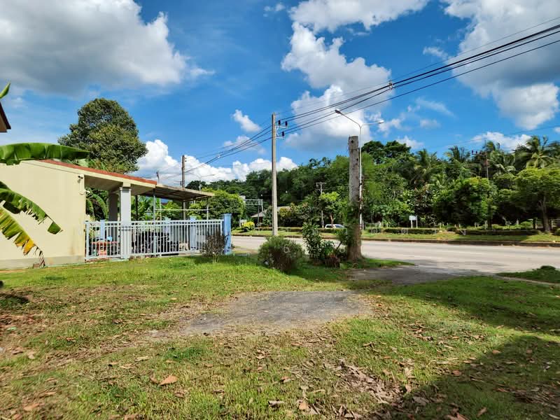 For Sale - ที่ดินอำเภอนาโยง จังหวัดตรัง, Trang