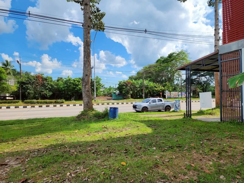 For Sale - ที่ดินอำเภอนาโยง จังหวัดตรัง, Trang