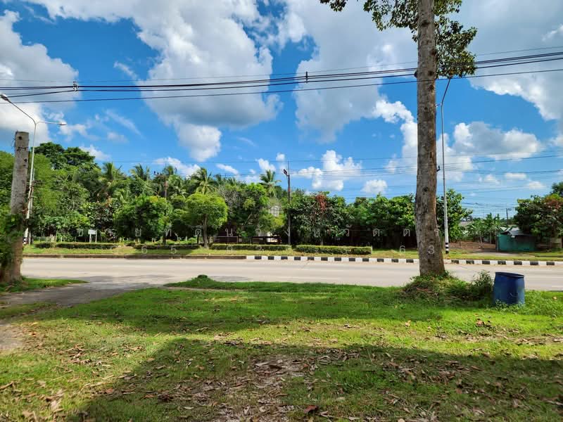 ขาย - ที่ดินอำเภอนาโยง จังหวัดตรัง, ตรัง