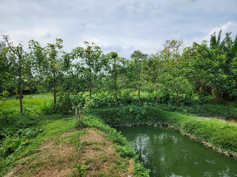 For Sale - ที่ดินอำเภอนาโยง จังหวัดตรัง, Trang